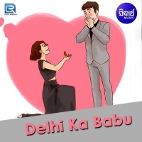 Delhi Ka Babu (2010)