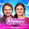 Tu Mun Jebetharu Hele Pakha Pakhi.mp3