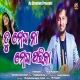 Tu Megha Na Megha Parika