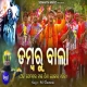 Dambaru Baala