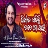 Bidhata Gadhichhi Tate Mo Pai.mp3
