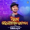 Ame Dhenkanal Toka.mp3