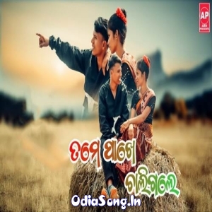 Tame Pakhe Chali Gale.mp3
