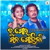Tu Mora Mana Mohini.mp3