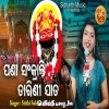 Pana Sankaranti Tarini Jata.mp3