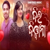 Dil Diwana (S Jitu).mp3