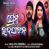 Prema Udghatana.mp3
