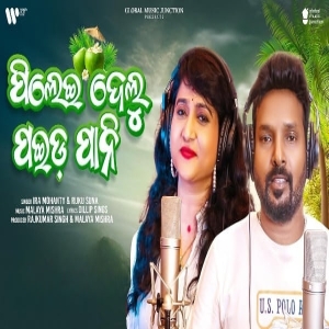 Pilei Delu Paida Pani.mp3