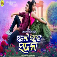 Sajani Sange Sajana