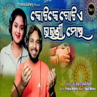 Kotike Gotie Bhauni Mora