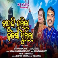 Bahungi Hajila Kalasi Jhulila