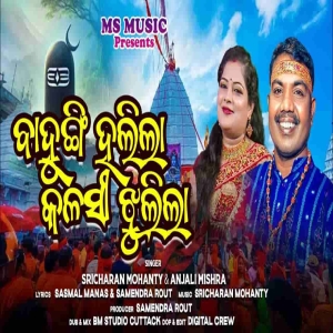 Bahungi Hajila Kalasi Jhulila.mp3