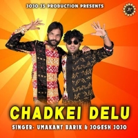 Dil Chadkei Delu.mp3