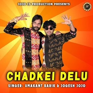 Dil Chadkei Delu.mp3