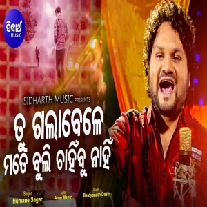 Tu Galabele Mate Buli Chahinbu Nahin (Male).mp3
