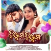 Diwani Diwana.mp3