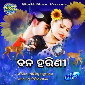 Janha Ki Jane Chakara Taku Kebethu Ete Bhala Pauchi.mp3