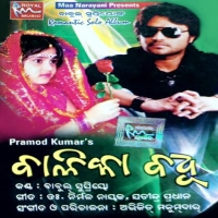 Balika Badhu (Instrumental)