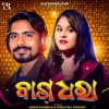 Bagdhara (Sambalpuri).mp3