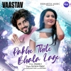 Pakhe Thile Bhala Lage (Vaastav).mp3
