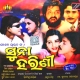 Nai Re Nai Re Nai Nai Tama Jodi Bholi Jhodi Nai