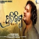 Pratibimba (Humane Sagar)