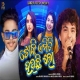 Toki Emiti Houchi Lo (Mantu Chhuria, Ankita Patra)