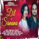 Dil Sanana Sanana (Humane Sagar, Jyotirmayee Nayak)