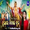 Jhul Re Nitai Jhul Odia Viral Bhakti.mp3