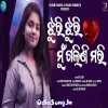 Tote Jhuri Jhuri Mu Galini Mori.mp3