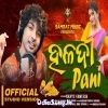 Haladi Pani.mp3