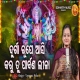 Durga Rupe Asi Karu Tu Parabana Lila