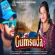 Gumsuda