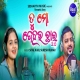 Tu Mo Dehara Chhai 2.0