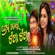 Prema Tora Tapatap