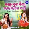 Kanha Tuma Bina Bhala Lage Nahin.mp3